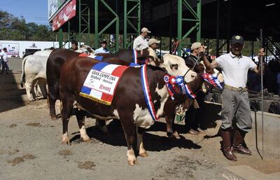 /pf/resources/images/abc-placeholder.png?d=2420