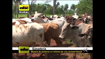 /pf/resources/images/abc-placeholder.png?d=2421