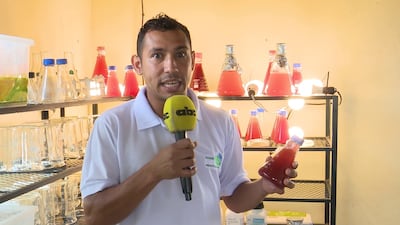 /pf/resources/images/abc-placeholder.png?d=2395