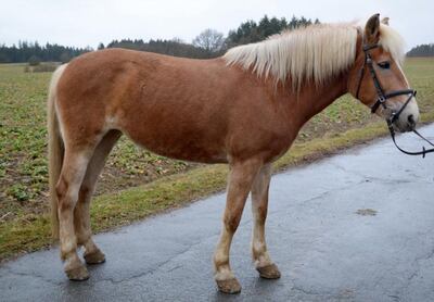 /pf/resources/images/abc-placeholder.png?d=2420