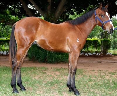 /pf/resources/images/abc-placeholder.png?d=2395