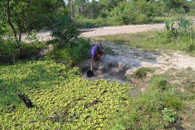 /pf/resources/images/abc-placeholder.png?d=2402