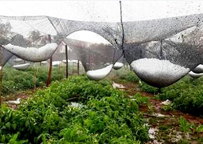 /pf/resources/images/abc-placeholder.png?d=2402