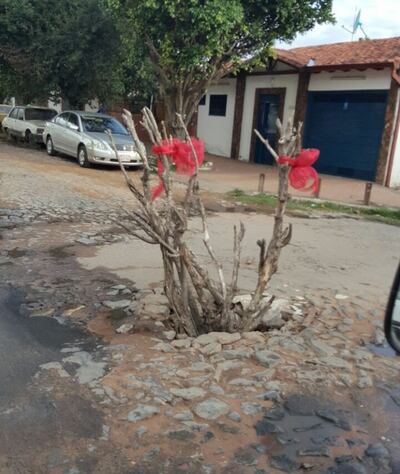 Imagen sin descripción
