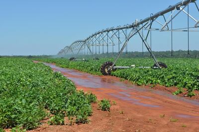 /pf/resources/images/abc-placeholder.png?d=2393