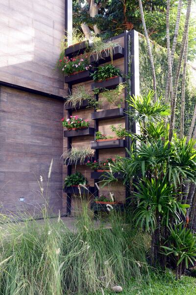 Imagen sin descripción