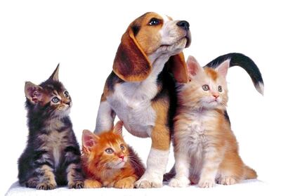 /pf/resources/images/abc-placeholder.png?d=2393