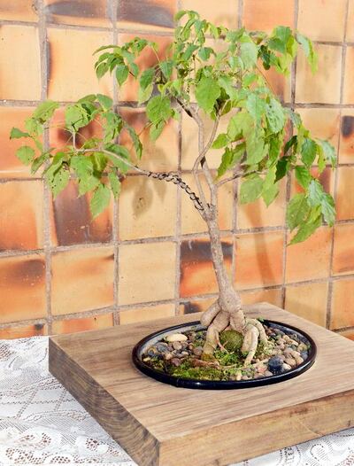 /pf/resources/images/abc-placeholder.png?d=2399