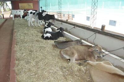 /pf/resources/images/abc-placeholder.png?d=2394