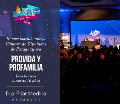 La diputada Del Pilar Medina (ANR, cartista) participó del Congreso en Lima Perú, en plena pandemia del covid-19. Presentó como logro que la Cámara de Diputados se haya declarado “provida y profamilia”.