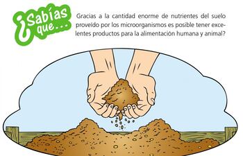 descomposicion-de-desechos-organicos-221404000000-1463855.jpg
