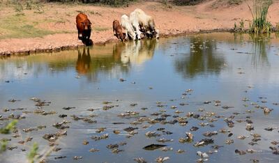 /pf/resources/images/abc-placeholder.png?d=2425