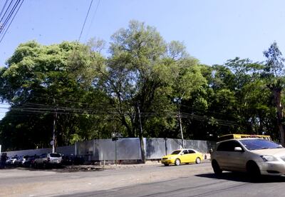 En el predio del IPS existe una gran cantidad de árboles, los cuales son defendidos por los vecinos que critican la obra.