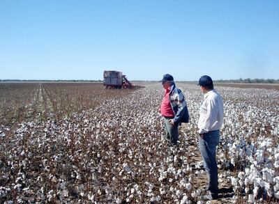 /pf/resources/images/abc-placeholder.png?d=2397