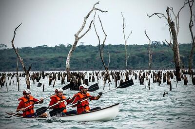 Imagen sin descripción
