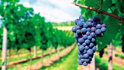 /pf/resources/images/abc-placeholder.png?d=2414