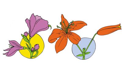 /pf/resources/images/abc-placeholder.png?d=2399