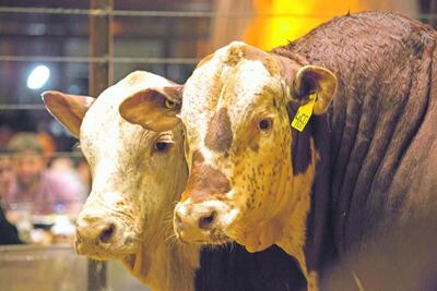 /pf/resources/images/abc-placeholder.png?d=2419