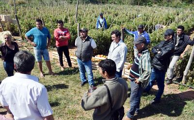 Los empresarios visitaron una finca de Coronel Oviedo.