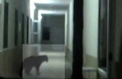 /pf/resources/images/abc-placeholder.png?d=2389