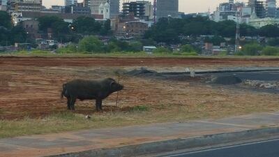 /pf/resources/images/abc-placeholder.png?d=2428