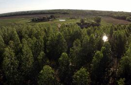 dentro-de-la-politica-estrategica-ambiental-de-suenolar-cuida-la-estancia-bosque-kepuku--221501000000-1779333.jpg