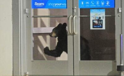 Imagen sin descripción