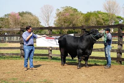 Capacitación para jurados jóvenes a cargo de profesionales de la Brangus Paraguay.