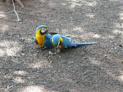 Imagen sin descripción