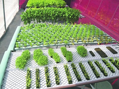 /pf/resources/images/abc-placeholder.png?d=2394