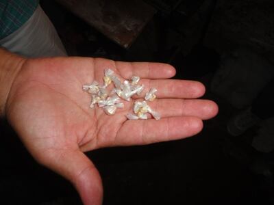 Imagen sin descripción