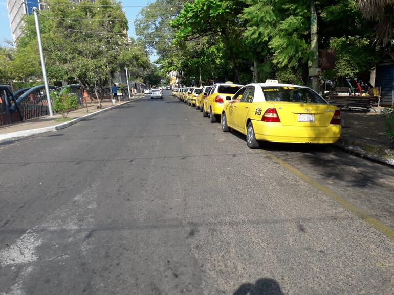 Decenas de taxis estacionados en la vía pública aguardan pasajeros.
