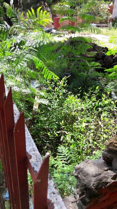 /pf/resources/images/abc-placeholder.png?d=2417