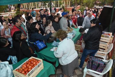 Feria de tomates en la Plaza Italia.