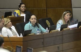 la-diputada-olga-ferreira-der-hace-su-exposicion-durante-la-plenaria-de-la-camara-de-diputados-ayer--224644000000-641794.jpg