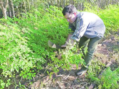 Imagen sin descripción