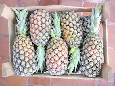 Imagen sin descripción