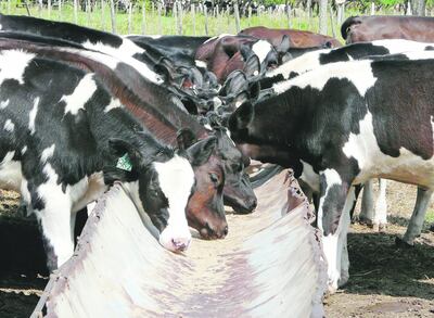 /pf/resources/images/abc-placeholder.png?d=2428