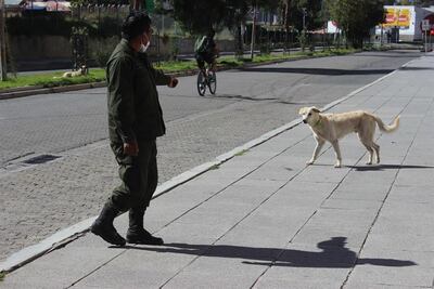 Un miembro de la Policía Forestal y Preservación del Medio Ambiente (Pofoma) mientras llama a un perro callejero en La Paz (Bolivia).