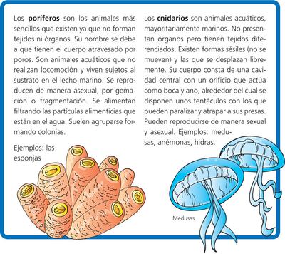 /pf/resources/images/abc-placeholder.png?d=2421