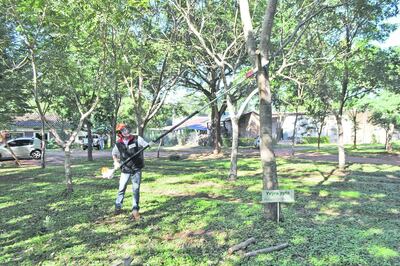 /pf/resources/images/abc-placeholder.png?d=2395