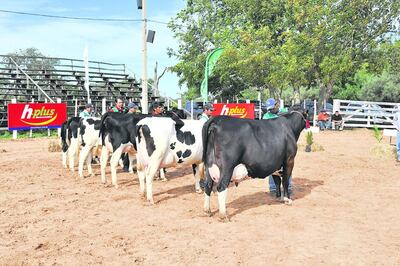 /pf/resources/images/abc-placeholder.png?d=2402