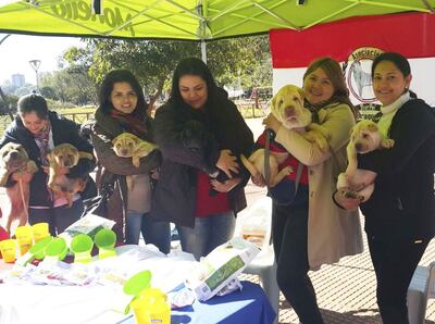 /pf/resources/images/abc-placeholder.png?d=2395