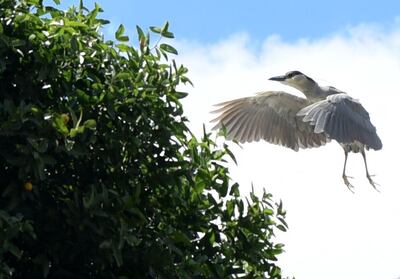 /pf/resources/images/abc-placeholder.png?d=2393