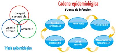 Enfermedades: elementos de la cadena epidemiológica