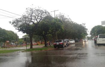 La lluvia es beneficiosa para los cultivos de renta y consumo.