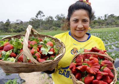 /pf/resources/images/abc-placeholder.png?d=2395