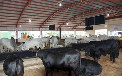 /pf/resources/images/abc-placeholder.png?d=2395