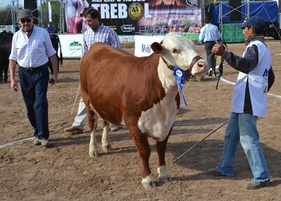 /pf/resources/images/abc-placeholder.png?d=2419