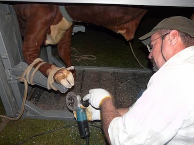 /pf/resources/images/abc-placeholder.png?d=2393